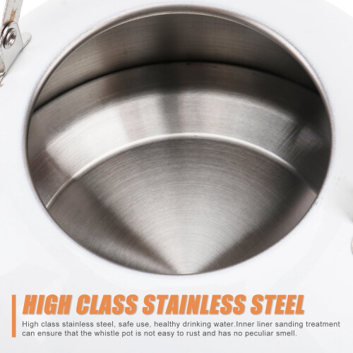Stainless Steel Tea Kettle White 2.5L 2