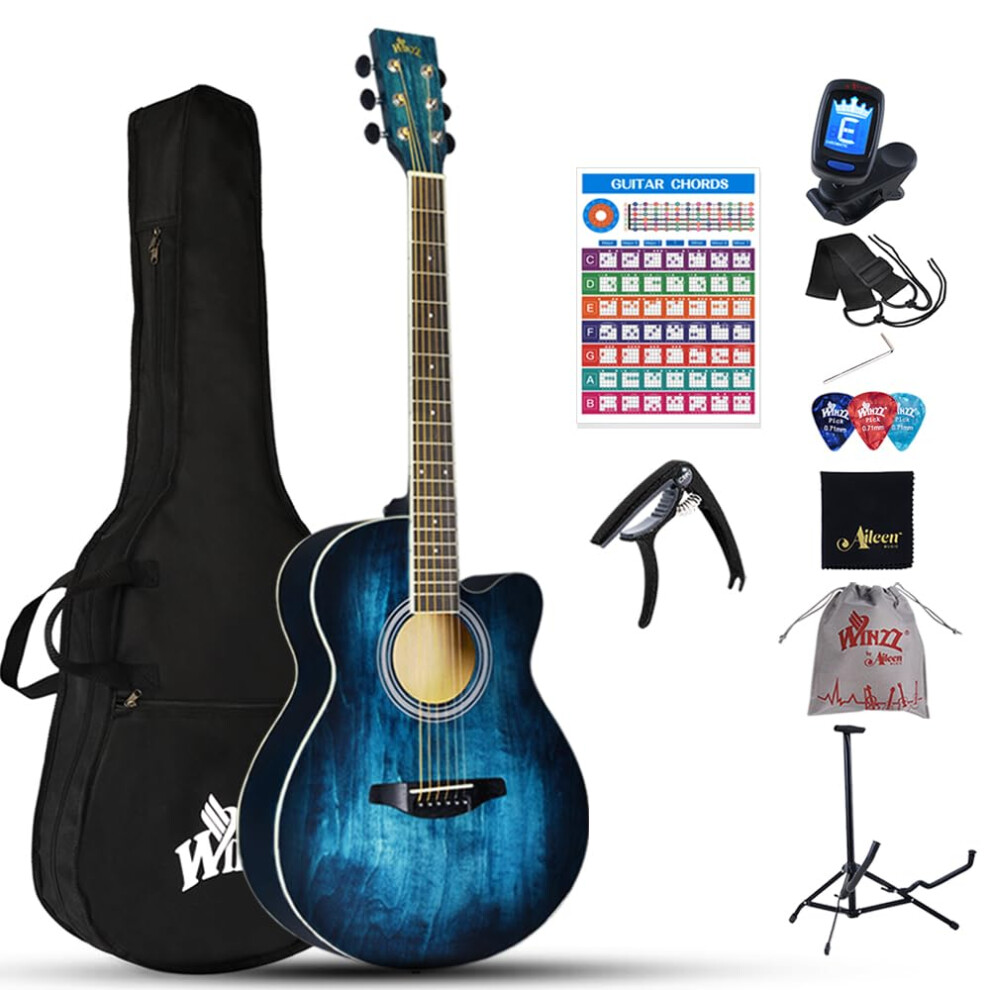 Winzz Acoustic Steel-String Guitar Beginner, Elegant Unique Color Desi
