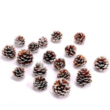 White Pine Cones for Christmas Decor DIY Craft Set (18 pcs)