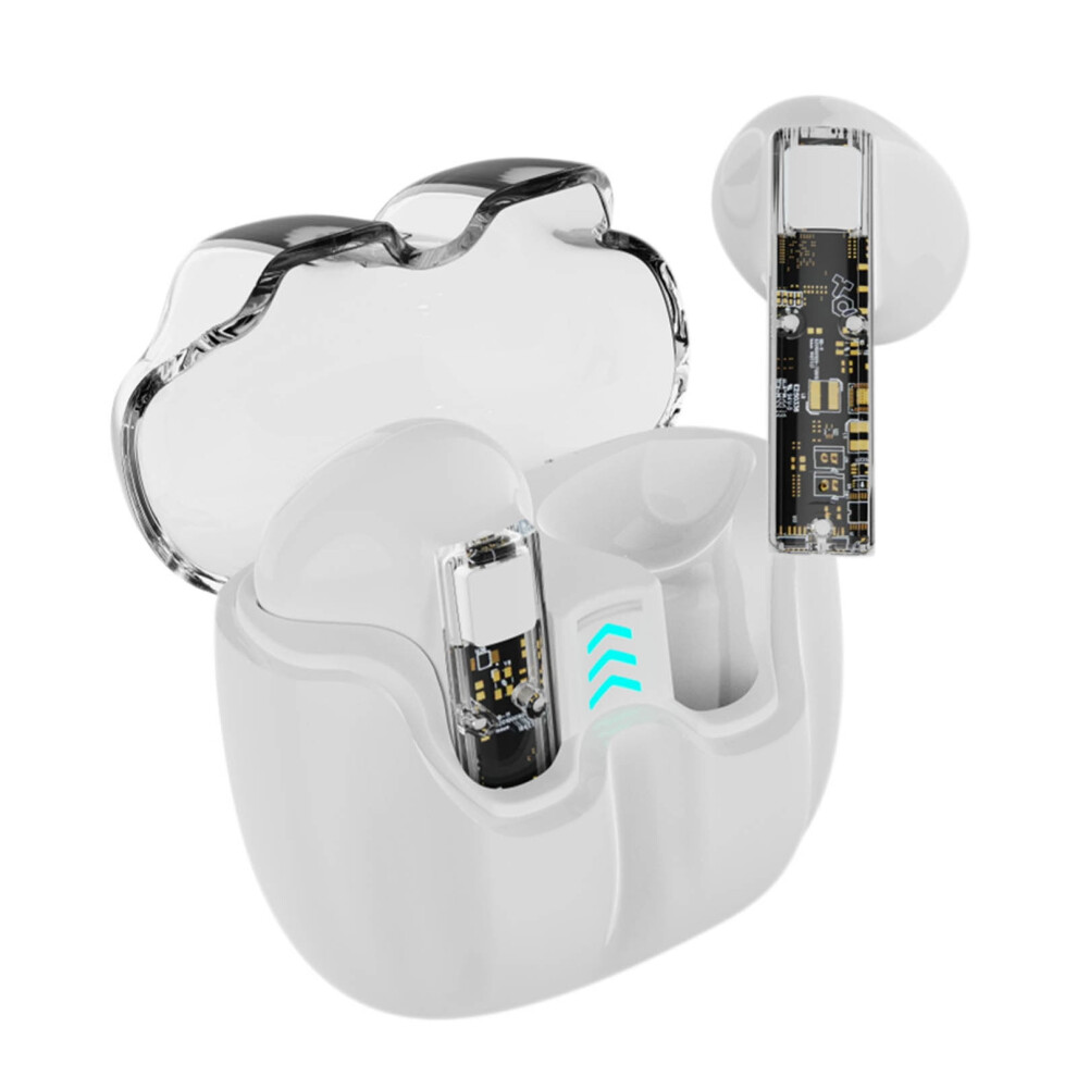Valseel Wireless Earbuds Semi-In-Ear Bluetooth 908436321327
