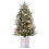 3ft Pre-Lit Mini Artificial Christmas Tree with Warm White 1