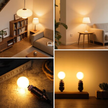 Ampoules LED G16.5 E12 à intensité variable, blanc chaud dépoli, lot de 2