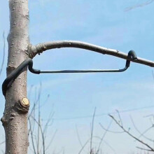 Fruit Tree Branch Bending Tool, 40pcs Iron Frame for Open Angle Training of New Branches