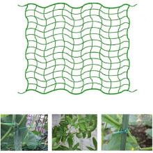 Green Crawling Plant Net Nylon Mesh 1.8x2.7m for Vegetable Garden Vine Protection