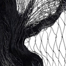 Black Nylon Anti Bird Netting 7.5m x 15m Garden Barrier Protection for Fruit Trees