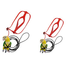 Pettorina e guinzaglio per pappagalli, corda regolabile in nylon e cotone per animali domestici, taglie XS e S, colore casuale.