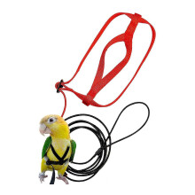 Pettorina e guinzaglio per pappagalli, corda da addestramento anti-morso regolabile, confezione da 2, taglie XS e P, nylon e cotone