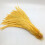 Rooster Tail Feathers Beige Gold 50 pcs 25-45 cm 1