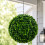 Oypla Oypla Artificial Hanging 28cm Topiary Tree Boxwood Buxus Ball 7