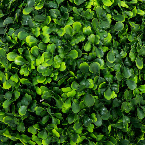 Oypla Oypla Artificial Hanging 28cm Topiary Tree Boxwood Buxus Ball 1