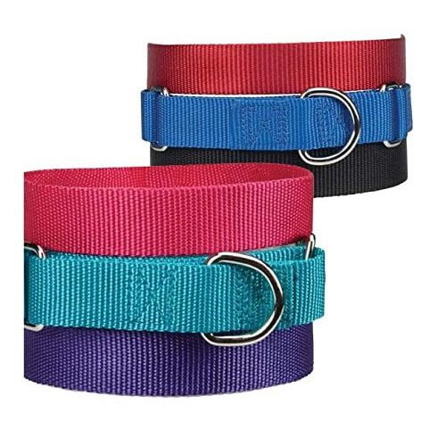 Κολάρα σκύλου Asst Color Bulk Martingale, μέγεθος/ποσότητα για άμμο αμμολεκάνης καταφυγίου