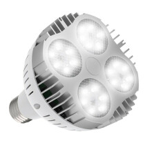 Bec LED pentru piscină, 45W, alb, 6000K, pentru piscine îngropate, spa-uri - compatibil cu corpurile de iluminat standard pentru piscine