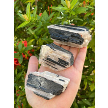 Black Tourmaline Quartz Specimen 1.5-4.5 inches