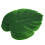 Ensemble de 12 sets de table à motif de feuilles de Monstera 1