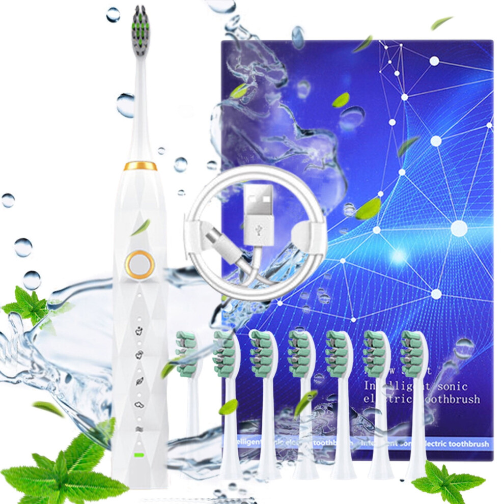 Sonic Electric Toothbrush with 8 Heads, 5 Modes, IPX8