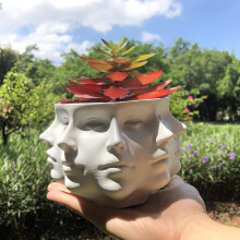 Vasi da fiori Zynic Multi Face Vaso per piante grasse Vaso piccolo Vaso per piante Testa di pianta Decorazione per la casa Vaso per piante grasse e