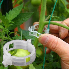 Trellis Tomato Clips, 23mm Plant Support Clips for Attaching Plants to String, White Plastic, 50-Pack