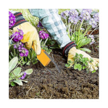Garden Bandit Attrezzo manuale per diserbo 2 pezzi, forca in ferro per rimozione radici, semina e scavo