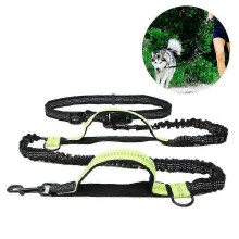 Cintura per passeggiate con il cane a mani libere, con fascia in vita regolabile e guinzaglio elastico, adatta a cani fino a 50 kg, riflettente.