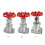 Stable 304 Stainless Steel Gate Valves Upgrades Suitable-DN25 5