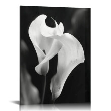 Schwarz-weißes Calla-Lilien-Leinwandbild, gerahmt