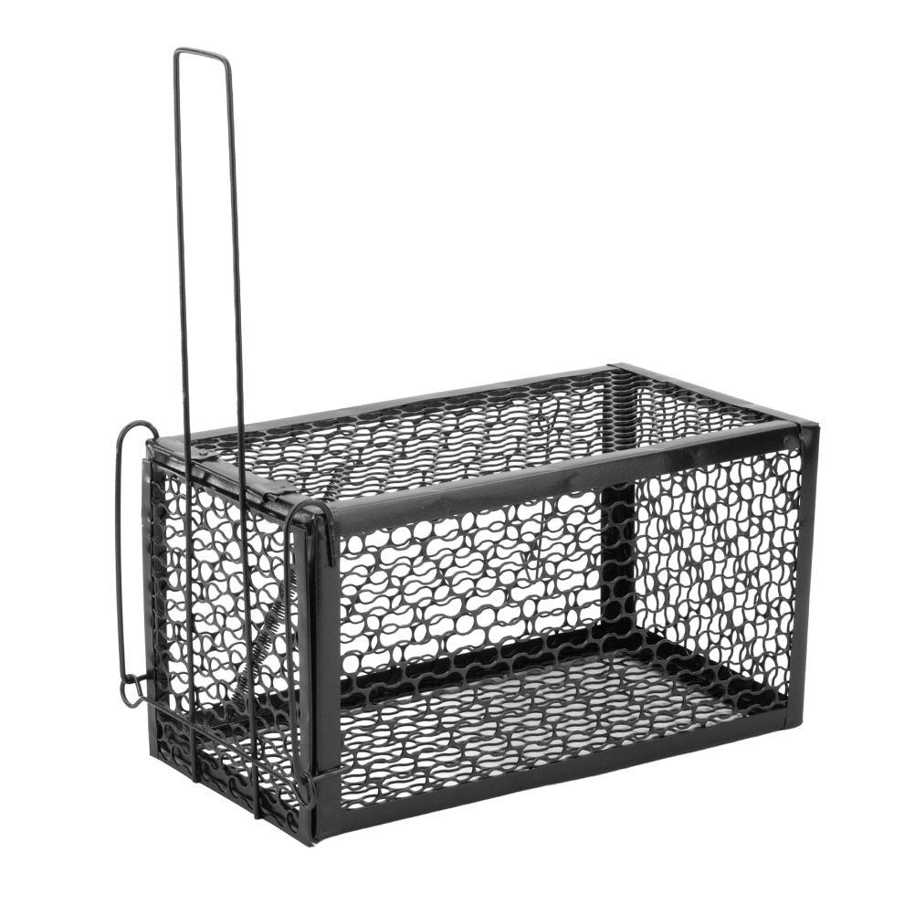Kct Humane Mouse Trap Rat Cage No Kill Bait Rodent Catcher Mice