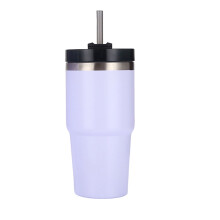20oz Edelstahl-Vakuumisolierter Becher mit Strohhalm