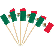 Argentina Flag Toothpicks 200 pcs