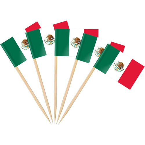 Argentina Flag Toothpicks 200 pcs