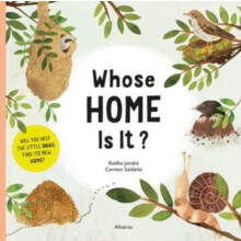 Whose Home Is It by Piro Radka Paperback Book