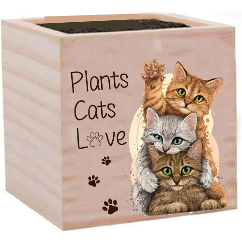 Ξύλινη γλάστρα Cats Box3x3 ίντσες - Συμβατή με γάτες, Ρουστίκ τετράγωνη γλάστρα για