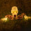 Halloween Outdoor Lighted Skeleton Arms Stake with Face 1