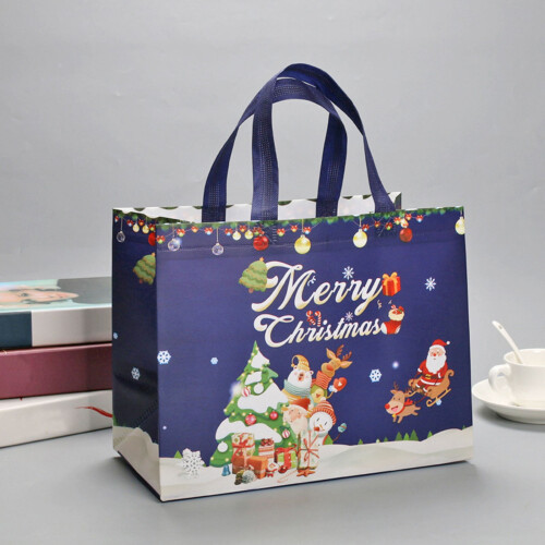 Christmas gift bag set laminated non-woven 6 pcs