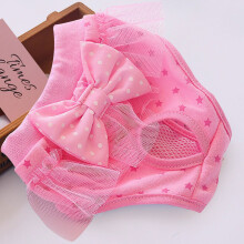 Presente para o Dia dos Pais da Jacenvly: Calças fisiológicas para animais de estimação, calcinha menstrual de renda e tule, tapete higiênico