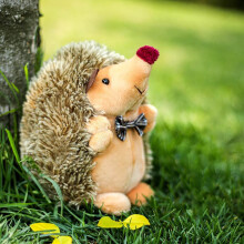 Peluche de erizo – Peluche suave y seguro para niños