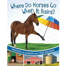 Where Do Horses Go When It Rains by Katherine Rawson Paperback Book