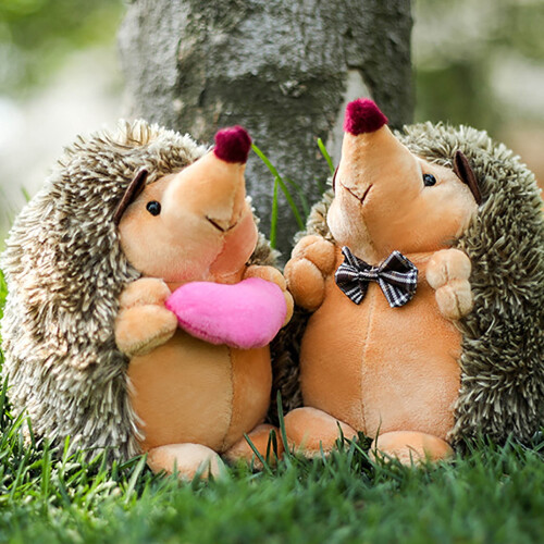 Peluche de erizo de San Valentín – Peluche suave para
