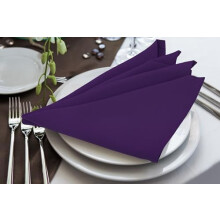 Valkoiset polyesterilautasliinat 17 x 17 tuumaa (24 kpl)