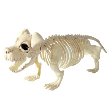 Set di decorazioni con scheletri di animali snodabili