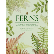 Ferns by Jacob S. Suissa Hardcover Book