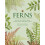 Ferns by Jacob S. Suissa Hardcover Book 1