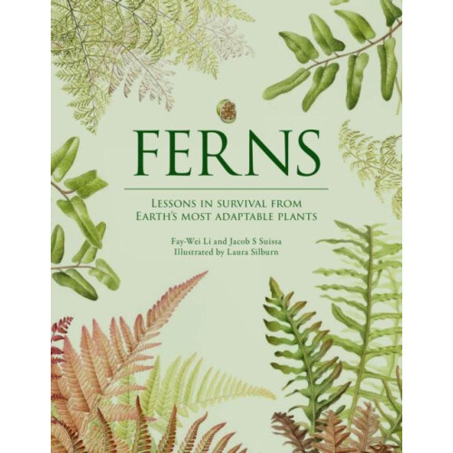 Ferns by Jacob S. Suissa Hardcover Book