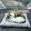 Gato de peluche interactivo con sonido de voz y latidos. 1
