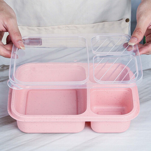 Bento Lunch Box with Compartments and Sauce Containers,