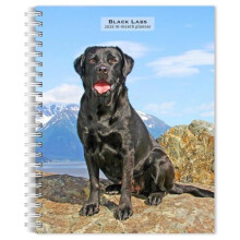 Labrador Retrievers Black 2026 Engagement Diary Other Book