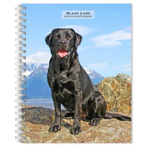 Labrador Retrievers Black 2026 Engagement Diary Other Book