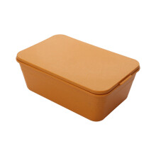 Tragbare, auslaufsichere Lunchbox mit Deckel (1 Stück)
