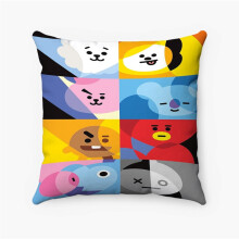 AIVO BT21 karakter kussensloop van gesponnen polyester, 18x18 inch