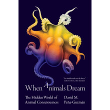 When Animals Dream by David M. PenaGuzman Paperback Book