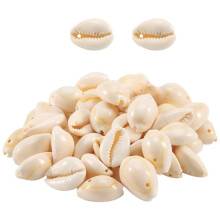 Shell Beads for Jewelry Making 50 pcs